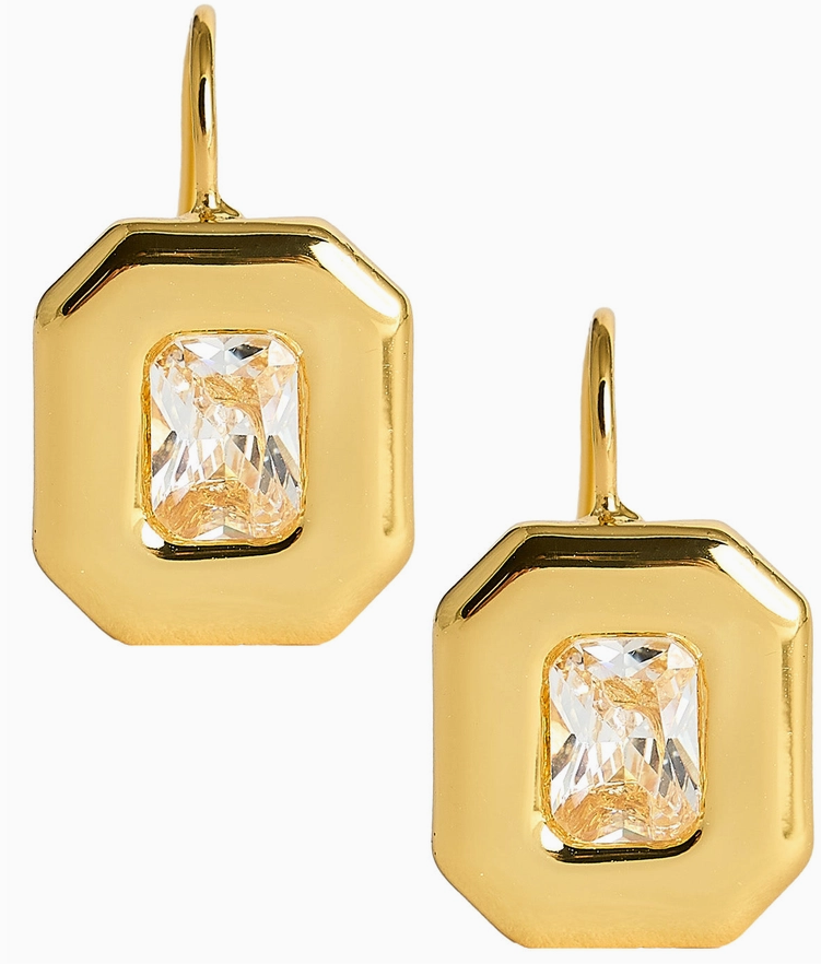 Darby Hook Back Bezel Earrings in Gold