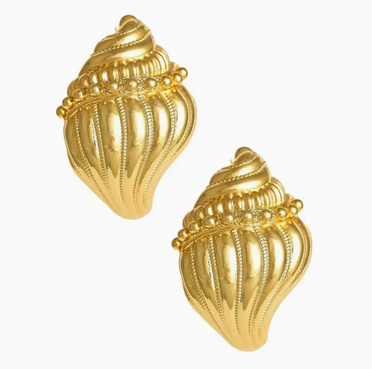 Conch Shell Earrings