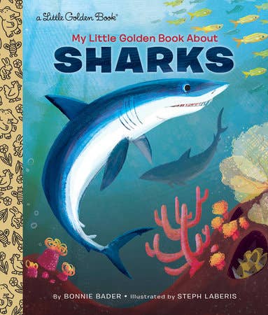 My LGB About Shark